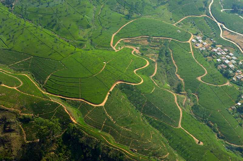 aerial-view-of-sri-lankan-tea-country